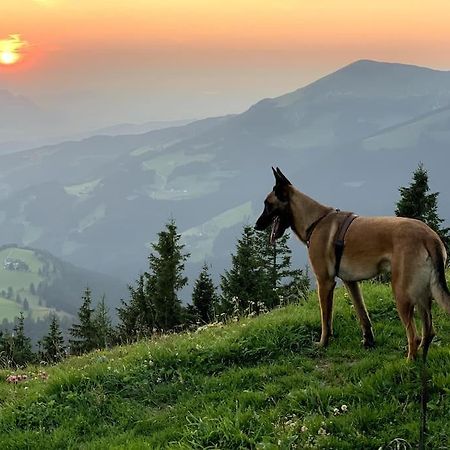 Urlaub Mit Hund Im Salzburger Land Apartment Wegscheid Exterior photo