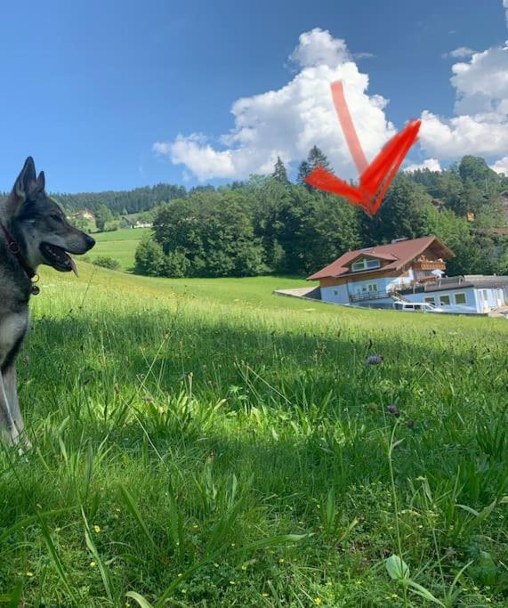Urlaub Mit Hund Im Salzburger Land Apartment Wegscheid Exterior photo
