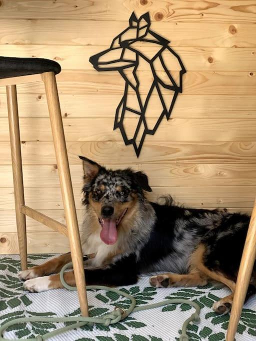 Urlaub Mit Hund Im Salzburger Land Apartment Wegscheid Exterior photo